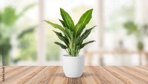 White ceramic pot with orna...