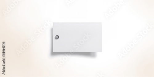 Australian exhibition budgies, emphasizing small bird display arrangements