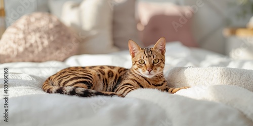 Unfinished plywood surface ...