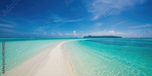 Fototapeta Naklejka Na Ścianę i Meble -  Pregnant highland cattle with long horns grazing in a lush pasture, emphasizing livestock health and rural landscape, World Animal Day