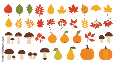 Large collection of autumn season elements including colorful leaves mushrooms pears pumpkins and berries for design projects.