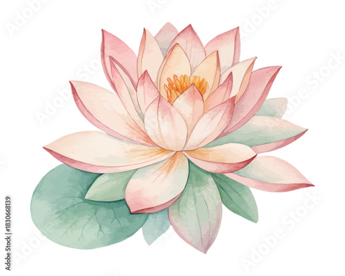 Lotus Flower Watercolor Vector Illustration, Elegant Floral Art Isolated on White Background
