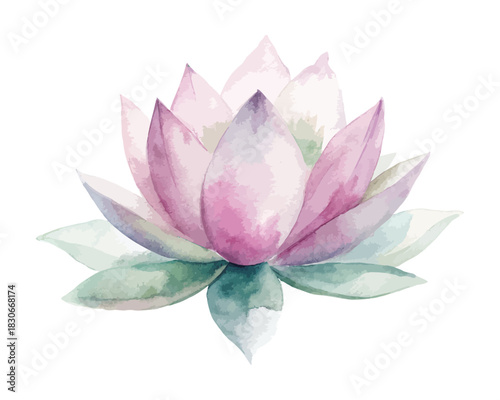 Lotus Flower Watercolor vector illustration 