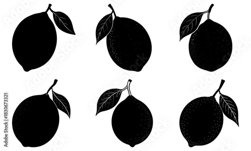 Fresh lemon collection for a zesty design, perfect for branding, packaging, and summer themes. Originally vector graphics for scalable quality.