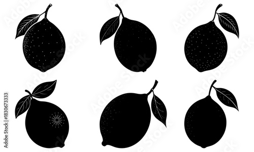 Elegant lemon silhouettes for vibrant designs, perfect for summer promotions, fresh food branding, and modern kitchen decor with a natural zest