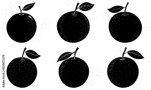 Fresh oranges in simple black and white, a healthy citrus fruit collection for vibrant recipes, nutritional content, and creative culinary designs