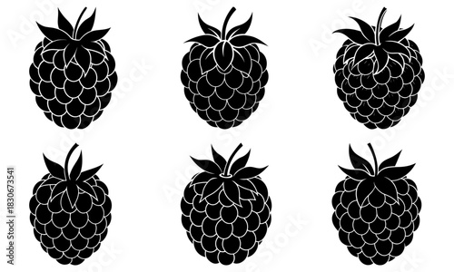 Delicious raspberries in a minimalist design, perfect for healthy food branding and promoting summer freshness in a modern, clean style