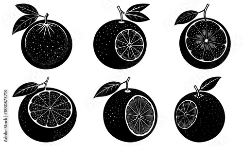 Hand-Drawn Oranges in Black and White: Fresh Citrus Fruit for Healthy Eating, Juice, and Vibrant Summer Designs, Originally a Vector Graphic
