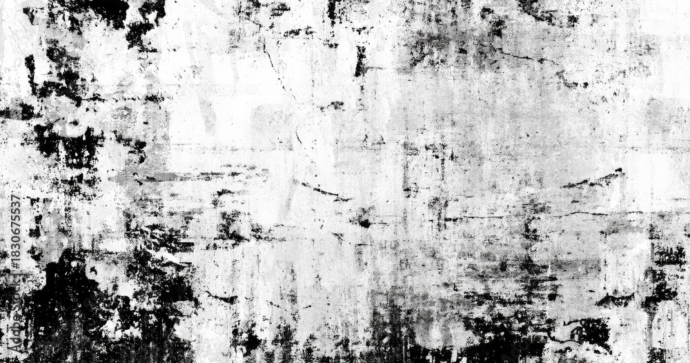 Fototapeta premium Abstract grunge texture background. Black and white.