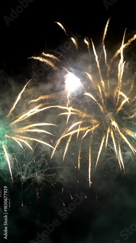 Colorful fireworks light up the night sky during the celebration in the city