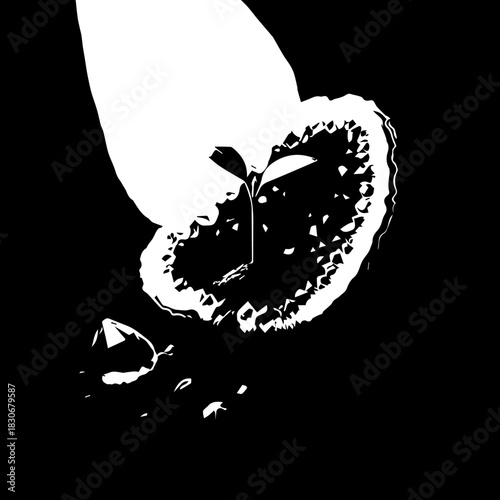 Close-up of Passion Fruit with Seeds and Peel.