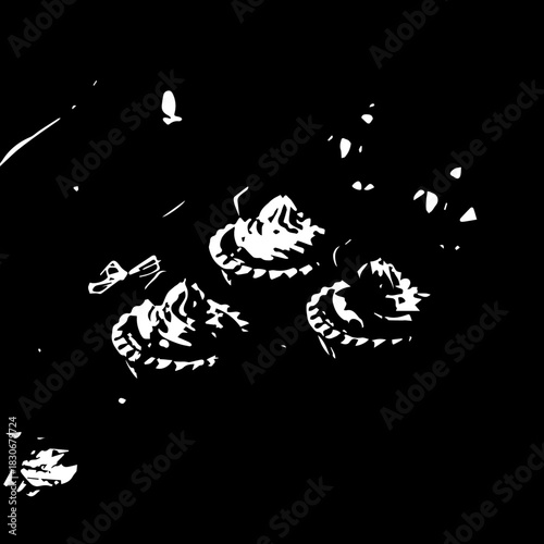 Close-up of three seashells on dark surface.