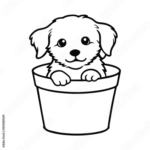 A cute puppy is sitting inside a white plastic bucket, isolated as a clean object