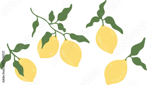 Hand drawn lemon branch vector set