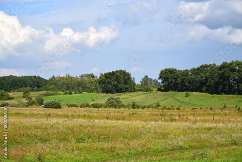 An August rural landscape in Russia