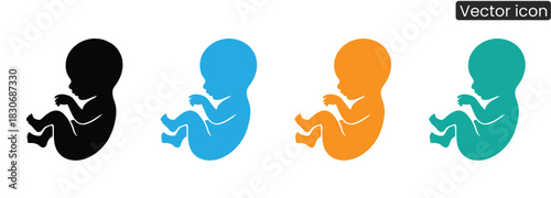 Vibrant embryo illustrations celebrate new beginnings. Perfect for medical, educational, and research projects, conveying the miracle of life and early human development.