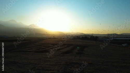 A dramatic sunset scene captured by a drone, featuring silhouettes of crows gliding across the colorful sky as warm evening light spreads over the landscape.