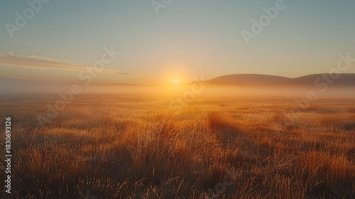 Beautiful Mist Moving Softly Across a Peaceful Rural Landscape at Early Dawn
