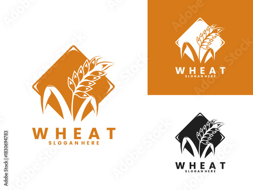 Wheat plant with rectangle logo design vector template