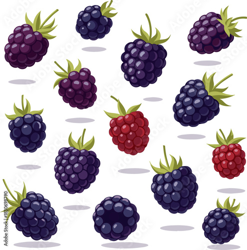 Create a kinds of deferent Blackberries floating vector art with white background..