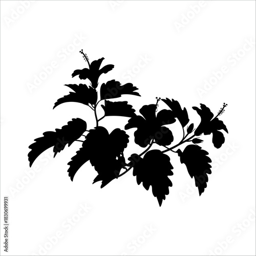 Vector file concept graphic for digital design and scalability