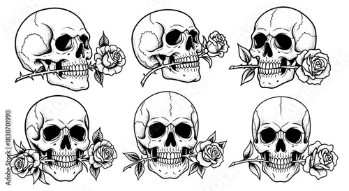 Set of Six Skulls with Roses in Mouth and Around Them.