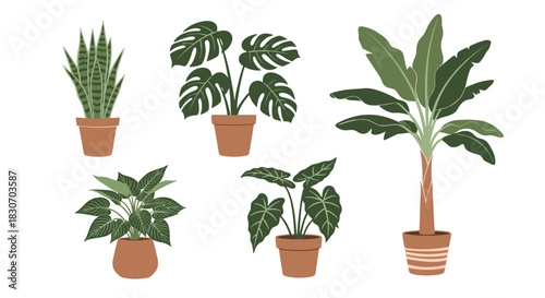 Exhausted and sad young woman feeling tired and stressed from overwork or studying at her desk with a laptop and coffee.