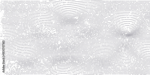 Wallpaper Mural Vector Illustration of the gray pattern of lines abstract background. EPS10. Torontodigital.ca
