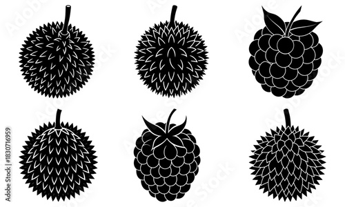 Fresh durian and raspberries, delicious fruits from the tropics and beyond, a tasty and healthy snack for your next recipe or design, scalable vector art
