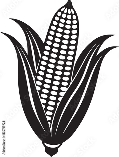 Fresh yellow corn on the cob, a healthy vegetable and sweetcorn grain illustration with a green leaf on white