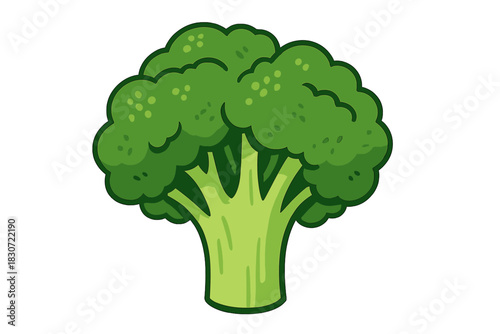 Stylized cartoon fresh green broccoli floret and stalk isolated on white background