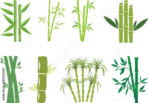 Bamboo Sugarcane line art icon set. Design elements for social network and application. on transparent background.Sugarcane stalks vector illustration of fresh sugarcane plants for agriculture.