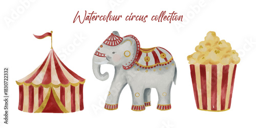 Circus watercolour collection. Circus elephant, pop corn and circus tent isolated on white background. Party decor