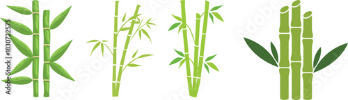 Bamboo Sugarcane line art icon set. Design elements for social network and application. on transparent background.Sugarcane stalks vector illustration of fresh sugarcane plants for agriculture.