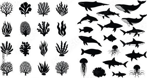 Underwater Marine Life and Flora Silhouettes Vector Set, Coral, Seaweed, Whales, Sharks, and Jellyfish Icons, Black Monochrome Aquatic Nature Collection 