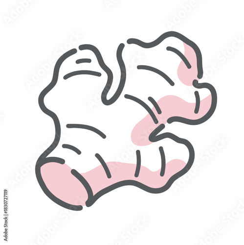 生姜（ショウガ）のイラスト、温活、ジンゲロール、薬味のアイコン素材。