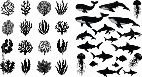 Set of underwater sea life silhouettes with whale, shark, dolphin, jellyfish, fish and coral reef plants, vector illustration isolated on white background