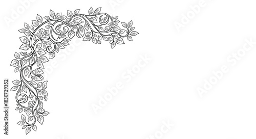 Elegant hand-drawn corner border design featuring intertwining vines and delicate leaves, perfect for botanical themes and decorative accents.