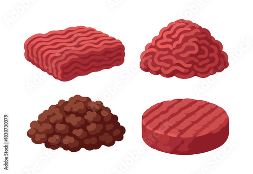 Raw ground meat varieties, patties, and mince, flat vector illustration