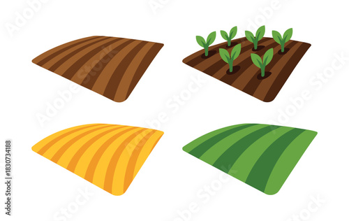 Farm field stages, seedlings and crop cycles, flat vector illustration