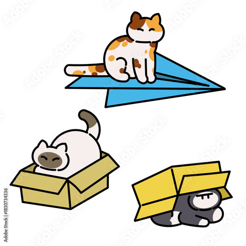 Playful cats sitting on a paper airplane and hiding in cardboard boxes. 