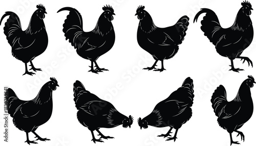 Chicken and Rooster Silhouettes Set: Black Vector Farm Animals Collection of Hen and Cock in Various Poses for Logo, Label, or Design.