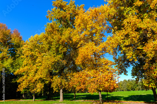 The Monza park at October