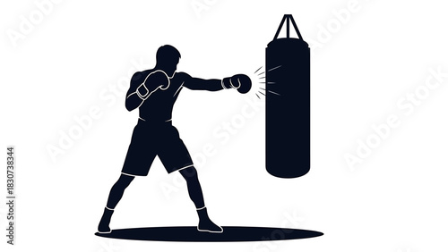 Silhouette of a Boxer Training with a Punching Bag.