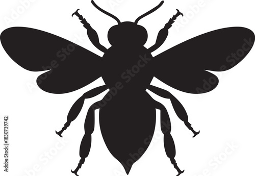 PriClean Vector Illustration of a Beent