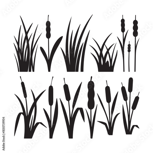 Black Silhouette Vector Set Grass Clumps, Reeds, and Cattail Plants for Design. 