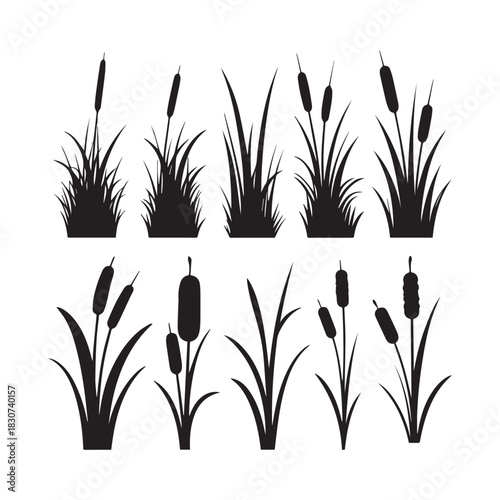 Black Silhouette Vector Set Grass Clumps, Reeds, and Cattail Plants for Design. 