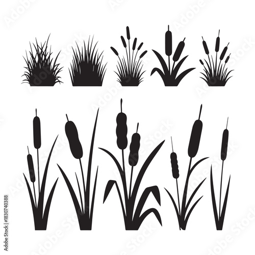 Black Silhouette Vector Set Grass Clumps, Reeds, and Cattail Plants for Design. 