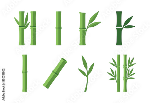 Bamboo stalks collection, leaves and segments, flat vector illustration