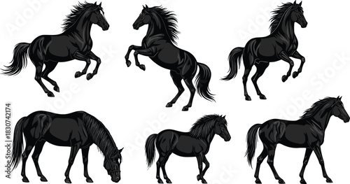 Set of six black horse illustrations in various realistic poses, rearing, running, and grazing majestic stallion vector graphic collection.